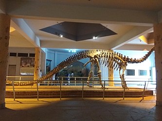Birla Science Museum is the best tourist place in Hyderabad 