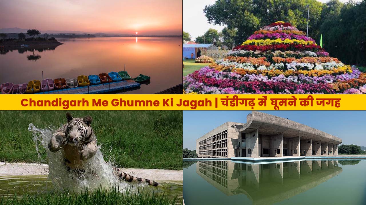 Chandigarh Me Ghumne Ki Jagah | चंडीगढ़ में घूमने की जगह