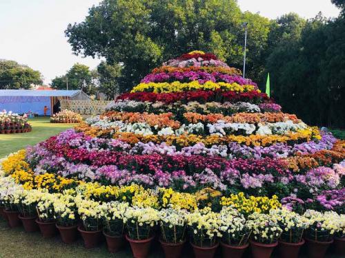 Terrace Garden is one of the best visiting place in Chandigarh 