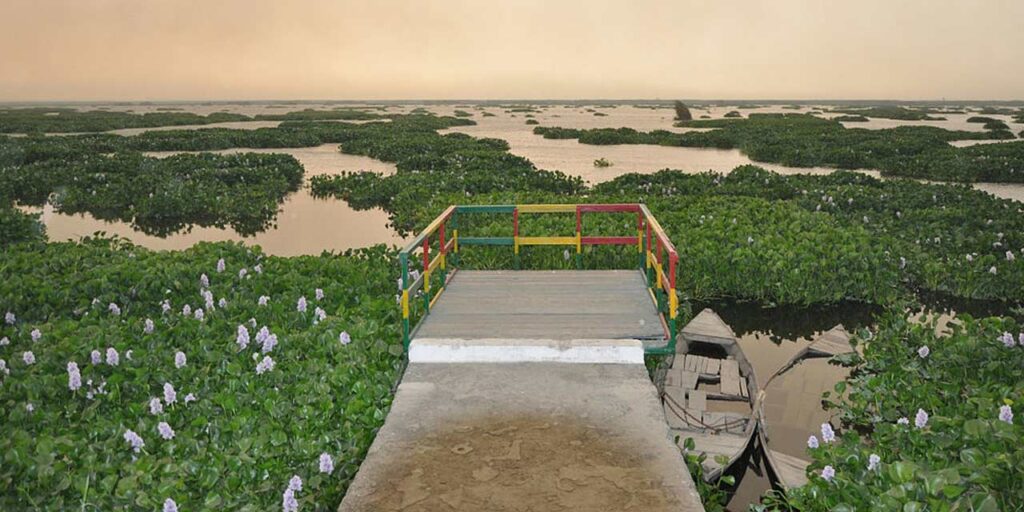 Harike Wetland And Bird Sanctuary is the best tourist attraction in Amritsar