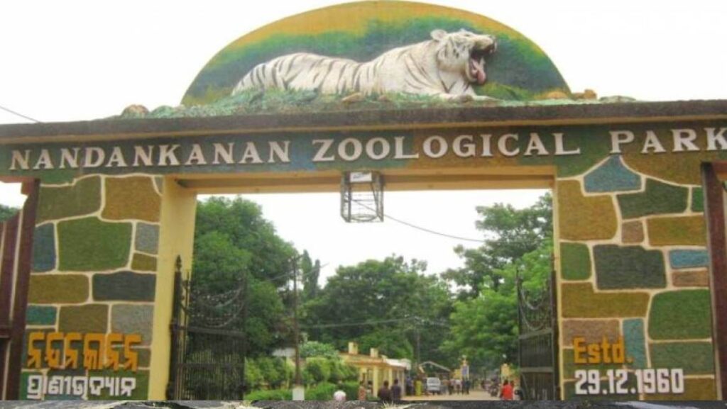 Nandankanan Zoological Park is one of the best tourist place in Odisha 